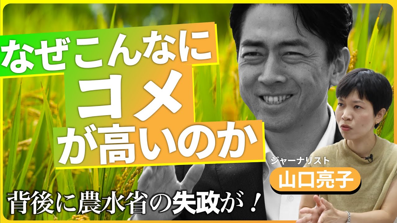 
<span>【コメ壊滅】小泉進次郎農相のコメ対策は有効だったのか？　国民負担3兆円をもたらした「農水省」の嘘</span>
