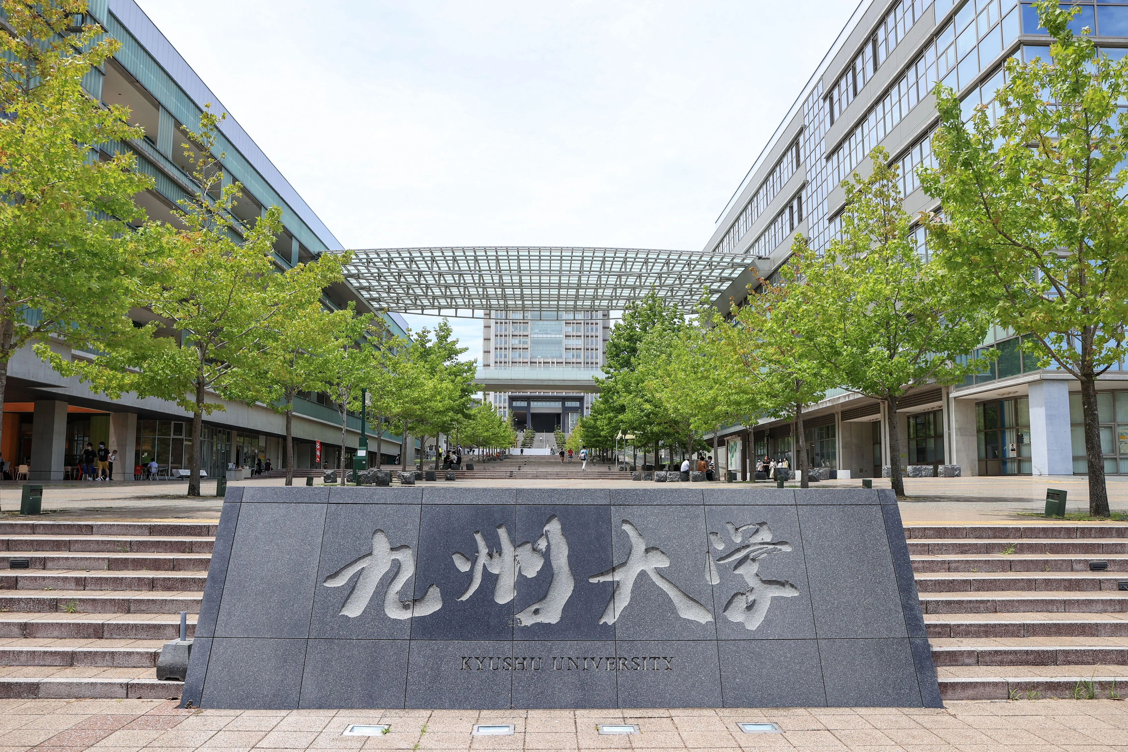 
<span>【九州・沖縄編】医学部受験の激戦地で起こる地元勢の巻き返しと“個別指導”の台頭</span>
