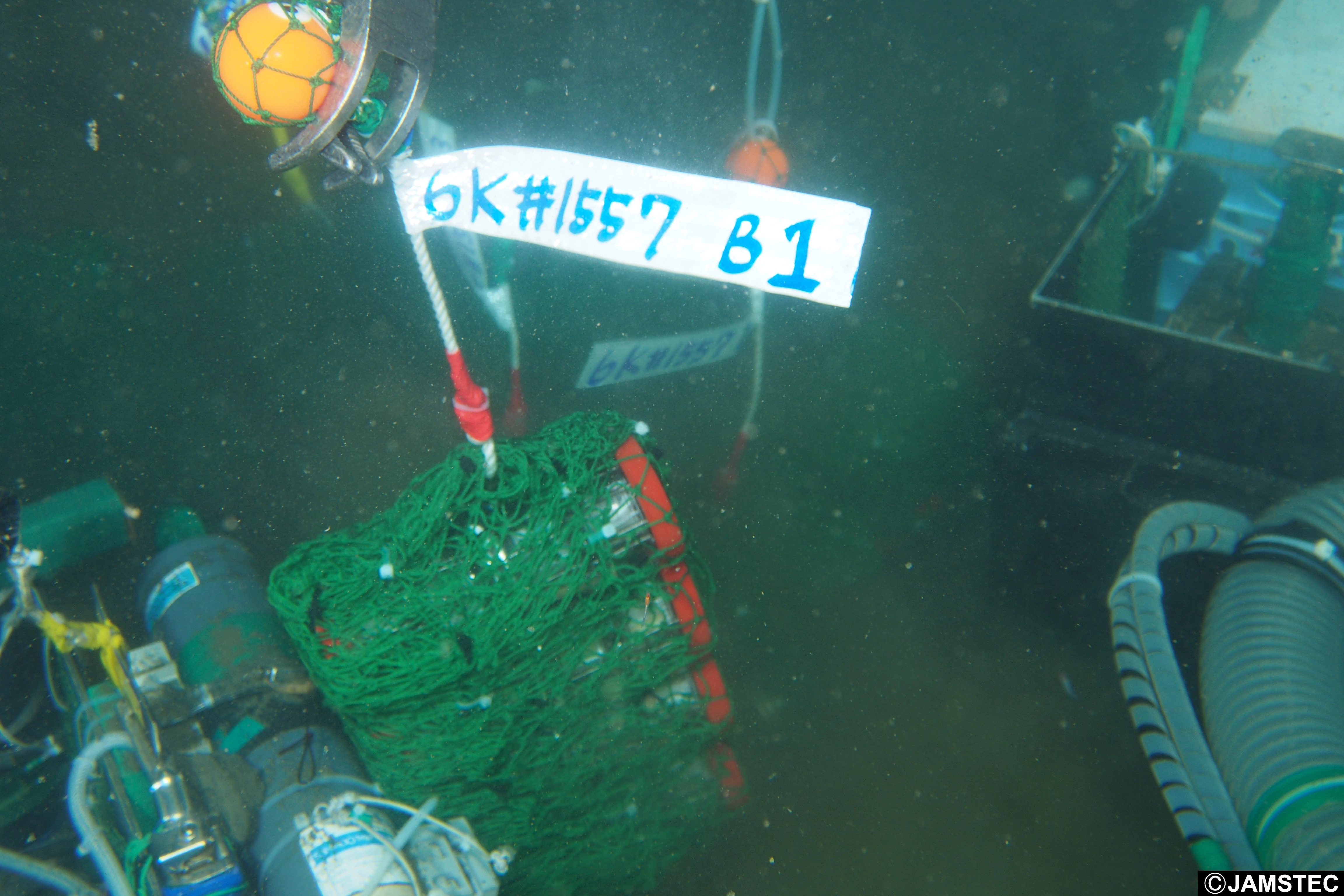 
<span>「ナフサ依存解消は可能か」生分解性プラスチックと深海の可能性 </span>
