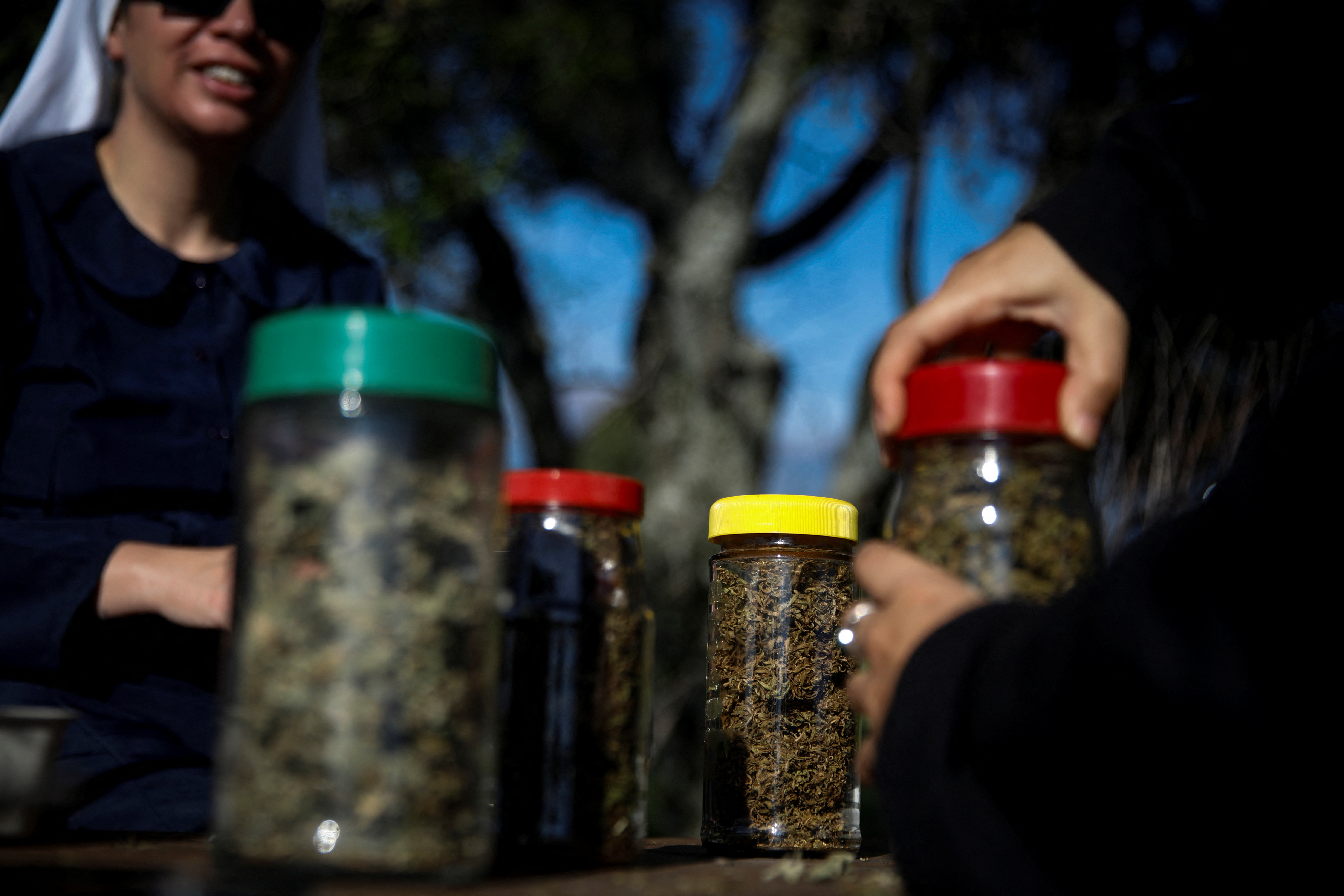 
<span>【THE WIDER IMAGE】メキシコの“大麻修道女”たちは、それを犯罪組織の手から取り戻したい</span>
