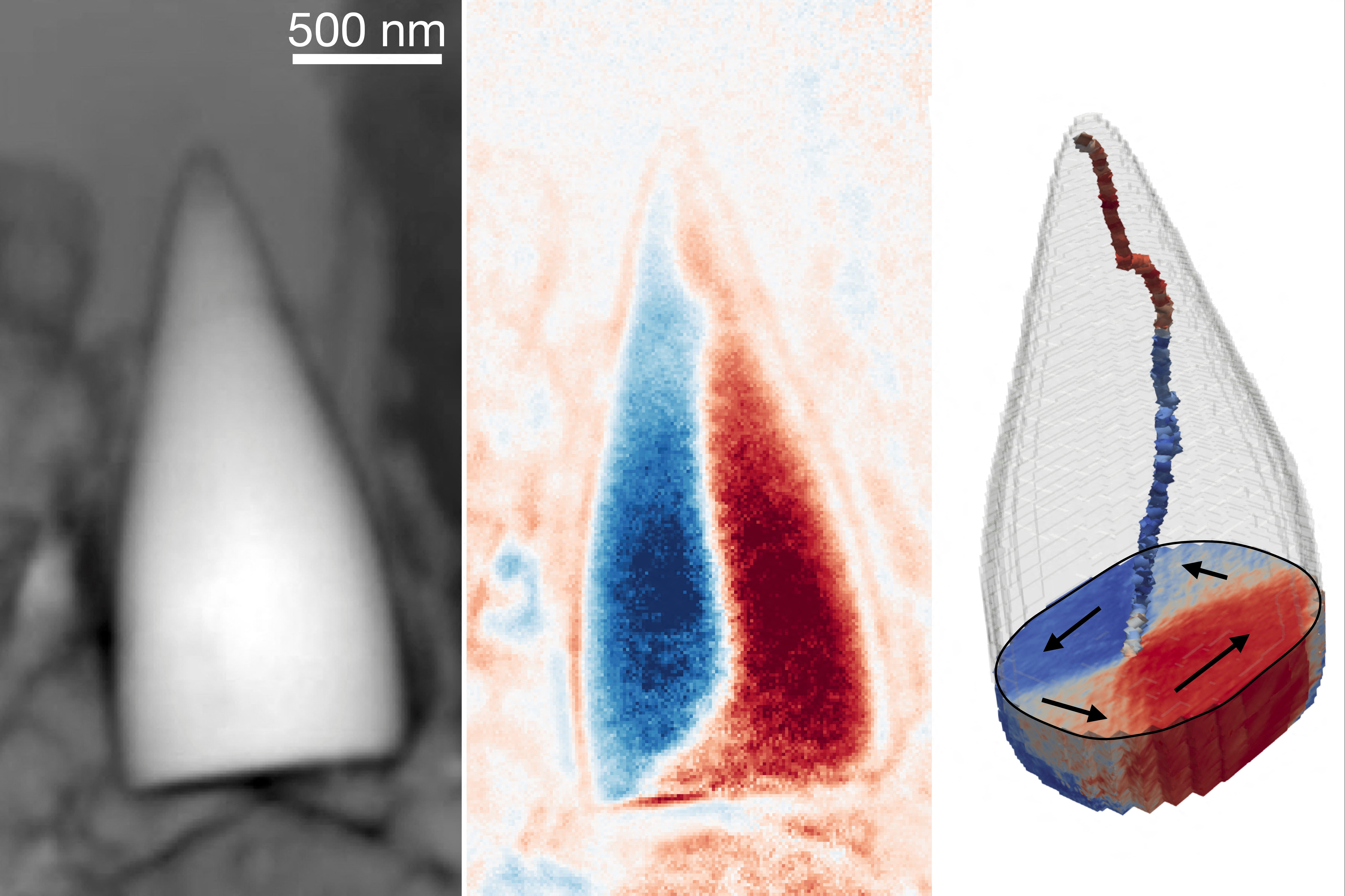 
<span>磁気を持つ化石を発見、古代生物の「内蔵GPS」か</span>
