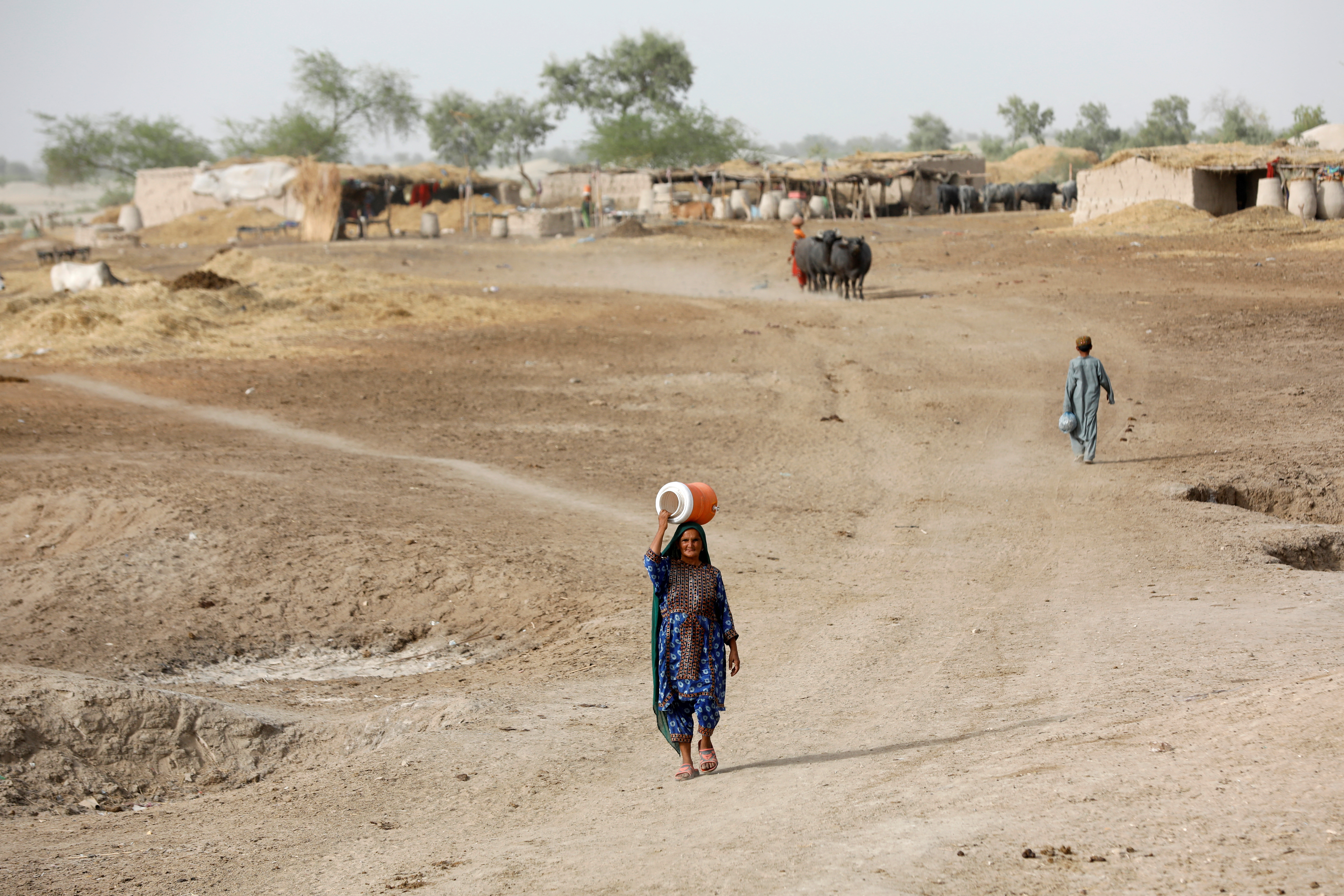 
<span>【THE WIDER IMAGE】地球で最も暑い都市で出産リスクにさらされる女性たち</span>
