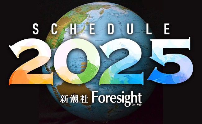 
<span>【更新】Foresight Schedule 2025</span>
