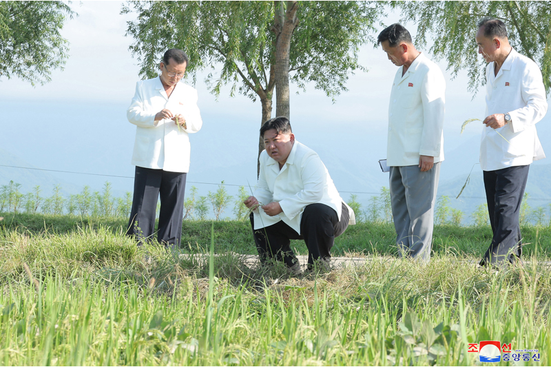 対露関係、人民軍重視が鮮明となった金正恩の動静（2023年8月13日～8月19日）
