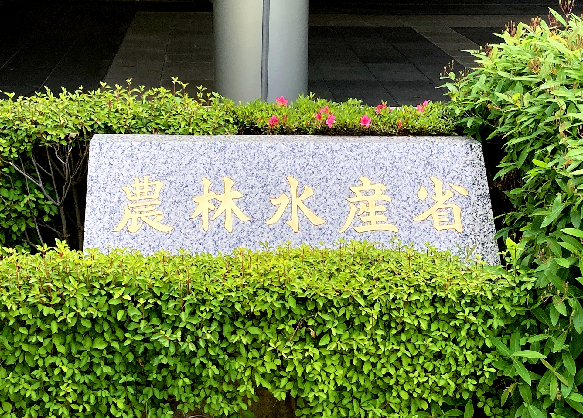 
<span>鶏卵汚職の汚名を晴らすか農水省「2030年輸出5兆円シフト」</span>
