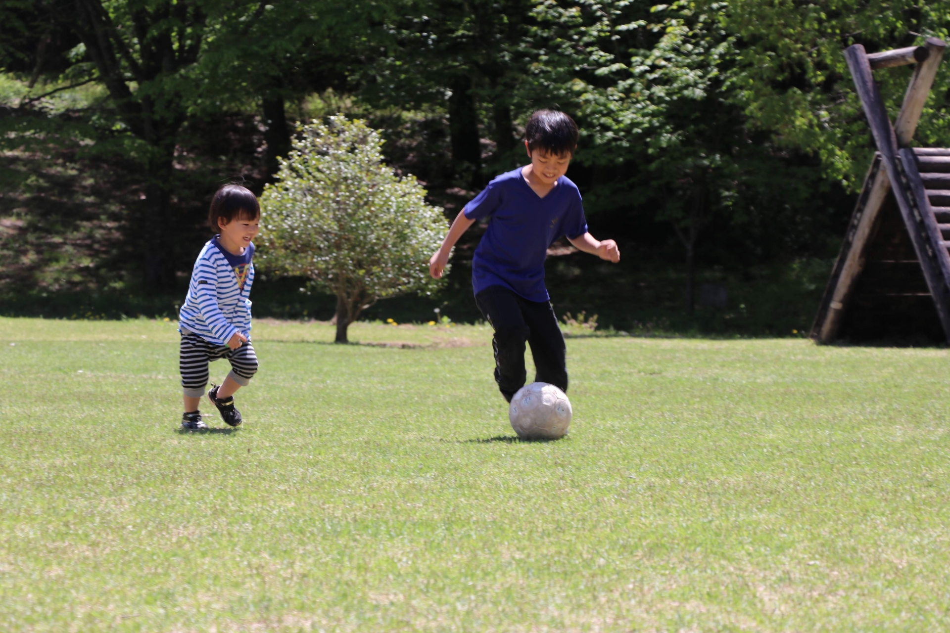 
<span>コロナ禍で子どものスポーツの「当番」はどう変わったか</span>

