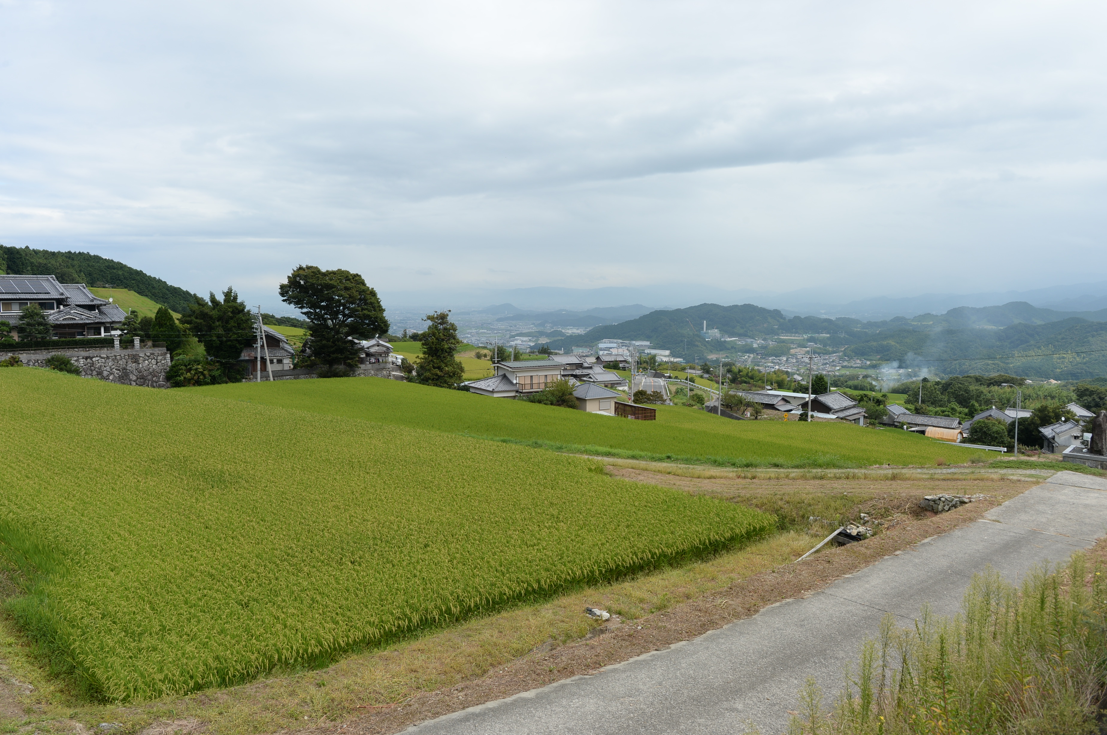 
<span>飛鳥の烽火は壬申の乱の勝敗を左右した？</span>
