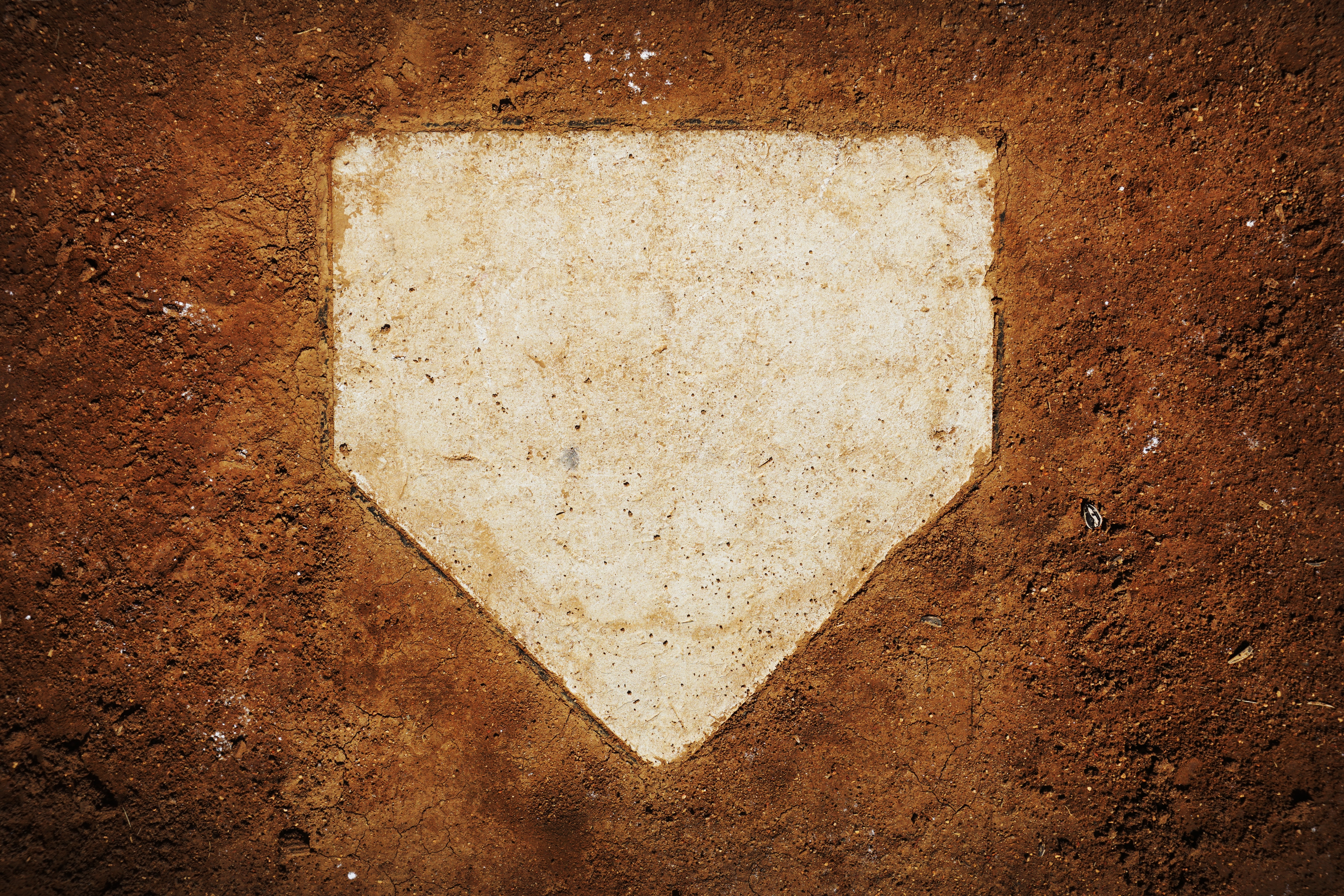 
<span>ファンと舌禍と経営と　人間を通して掘り起こす「プロ野球」起死回生の深層</span>
