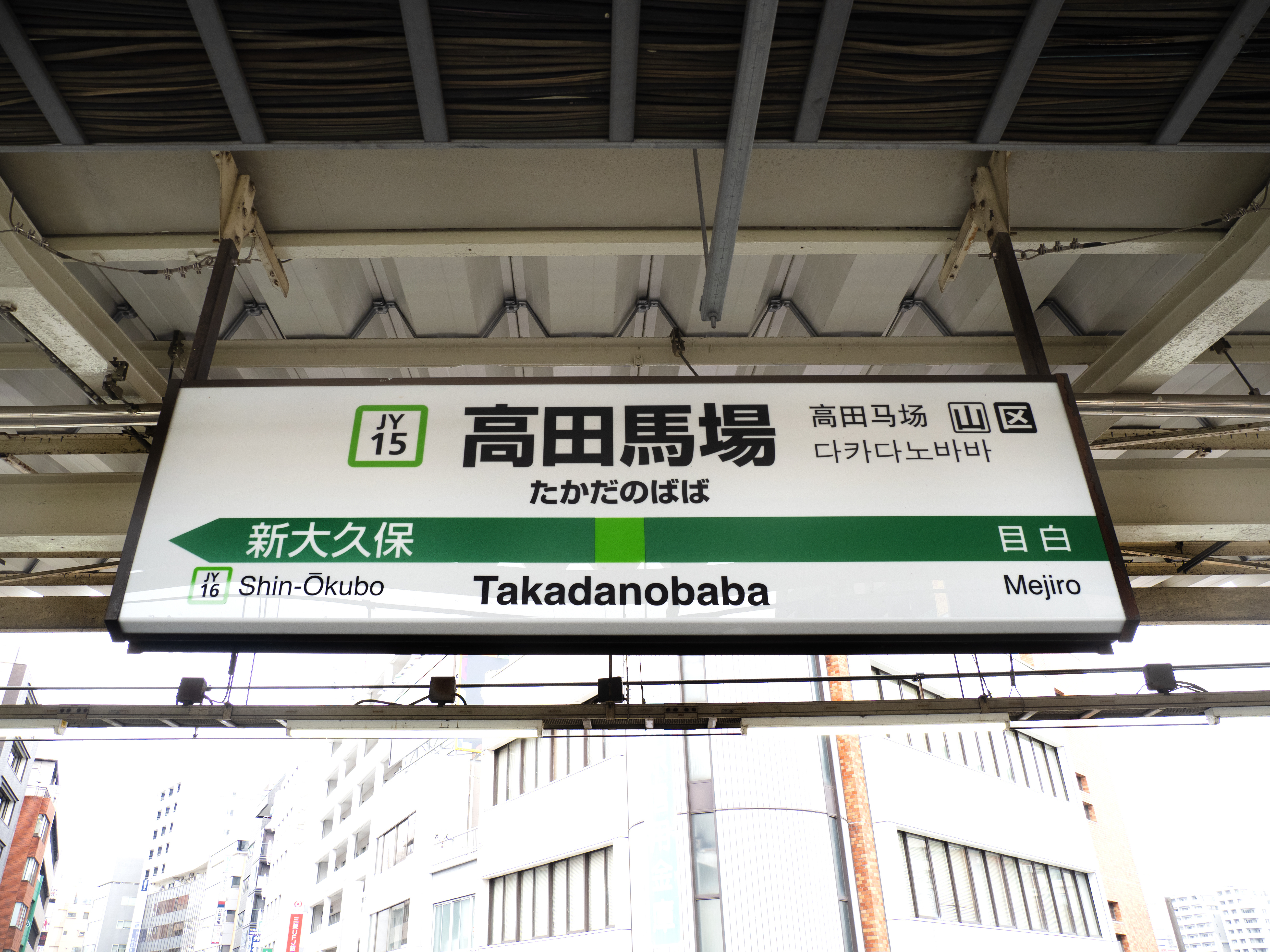 
<span>なぜ中国人は高田馬場を目指すのか――「ガチ中華の街」になった高田馬場と歌舞伎町の二都物語</span>
