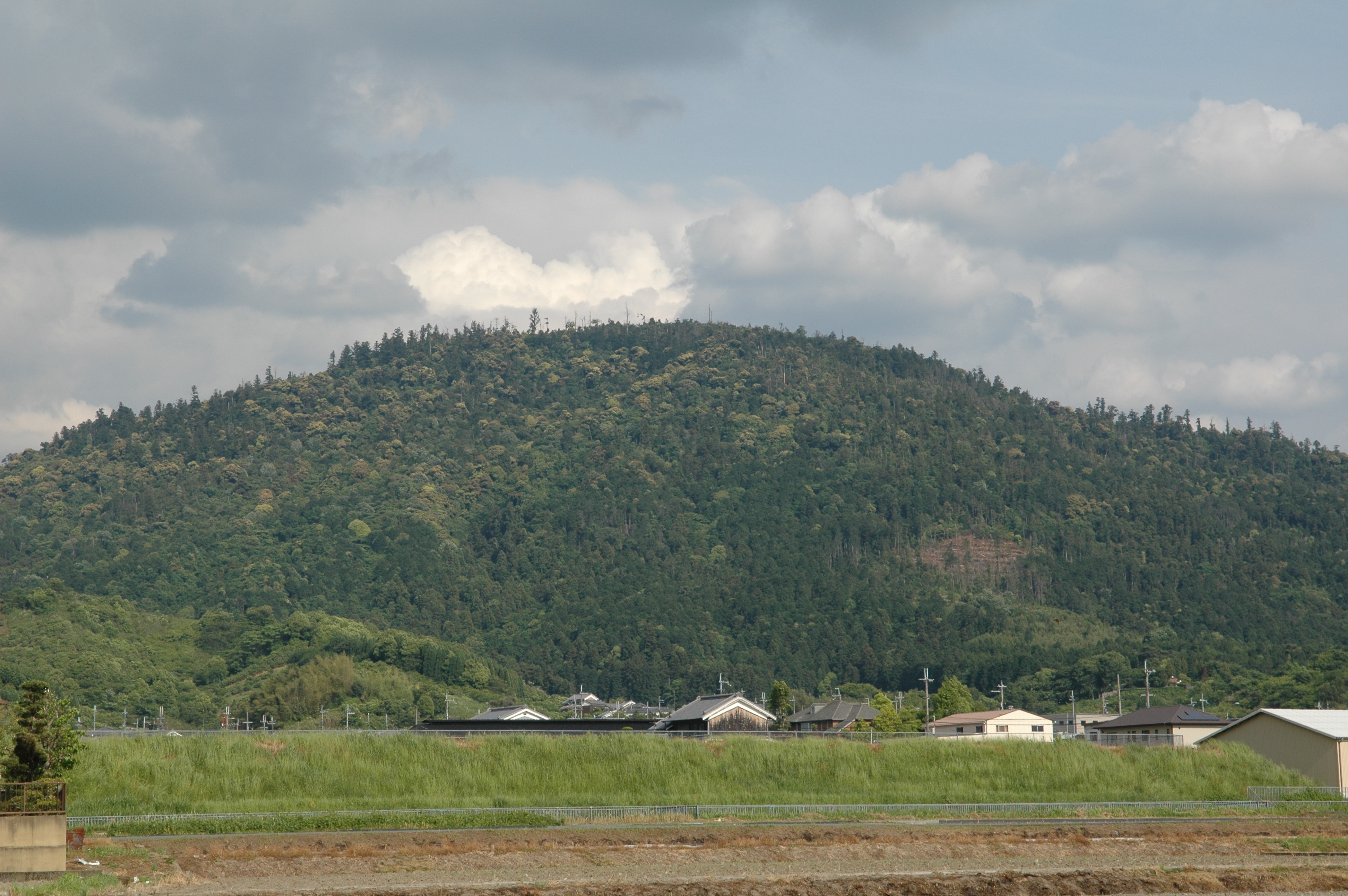 
<span>聖林寺十一面観音と三輪山信仰の謎</span>
