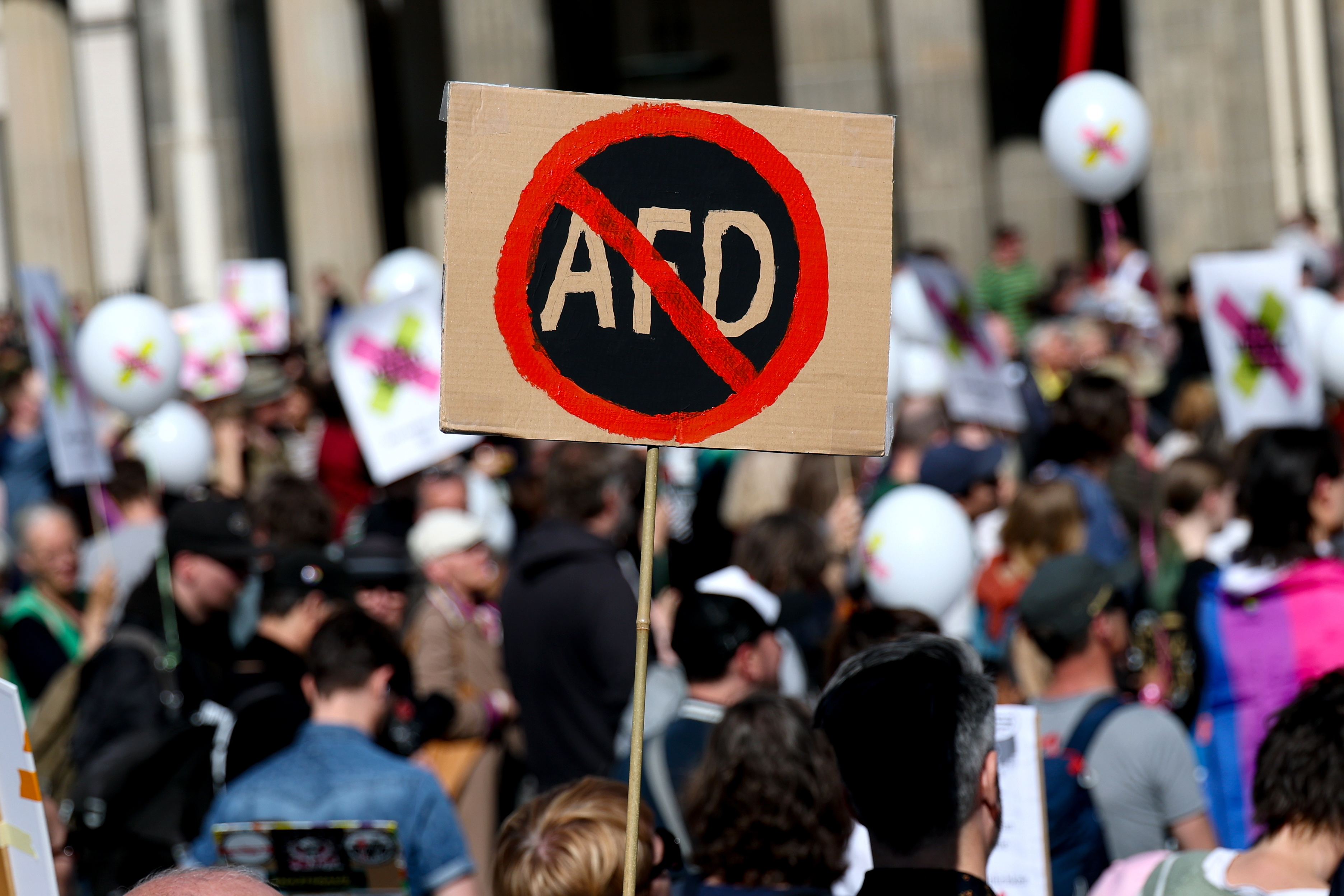 AfDの政党活動を禁止すべきなのか、ドイツ社会の分断と政治危機