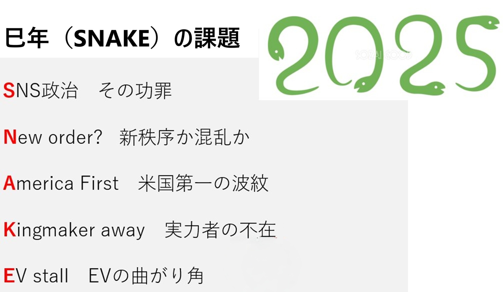 
<span>2025年世界経済が直面する「SNAKE」の課題</span>
