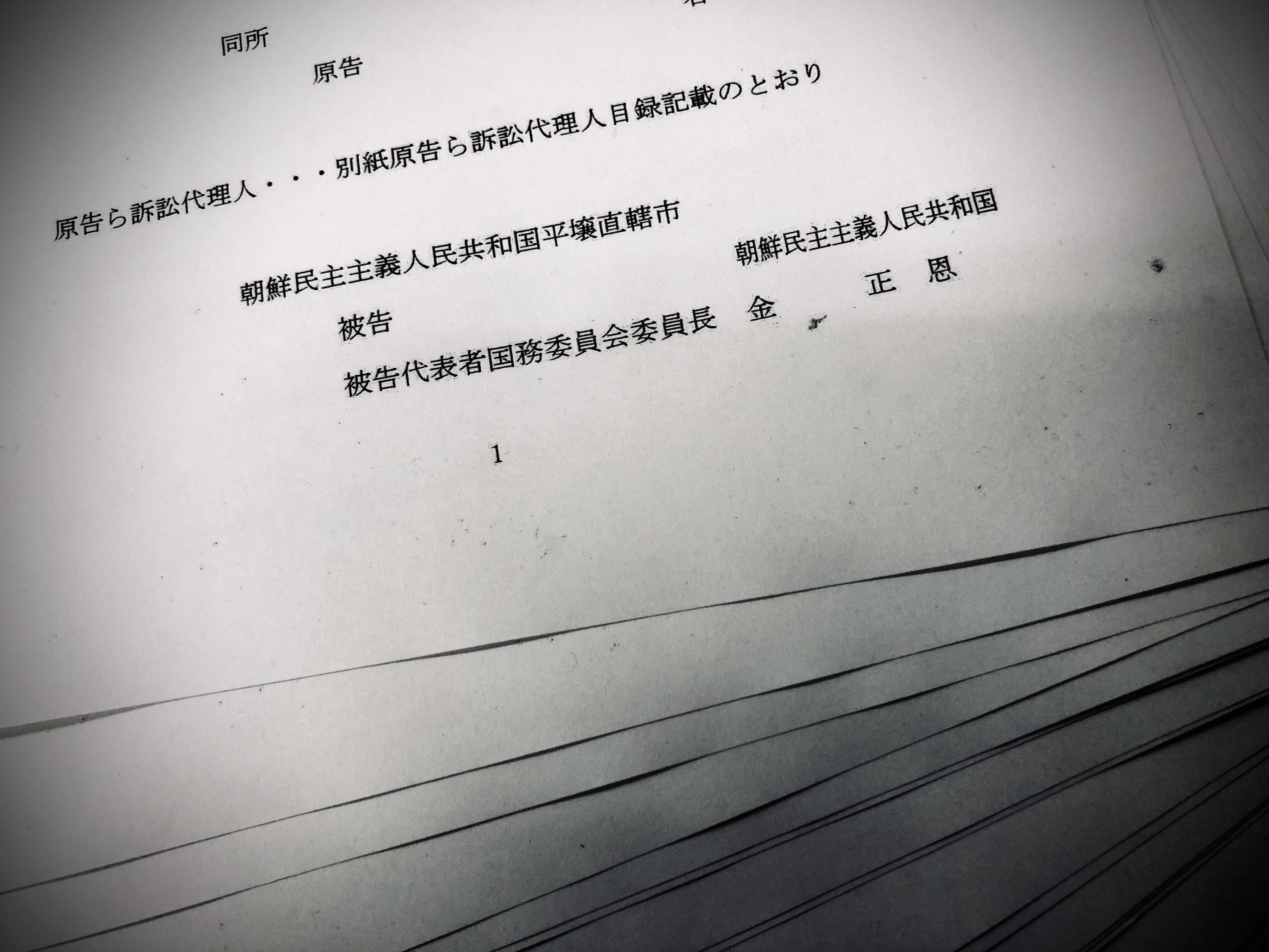 
<span>被告の名は「金正恩」(2)：金正恩を訴えた理由と「北朝鮮を変える唯一の方法」</span>
