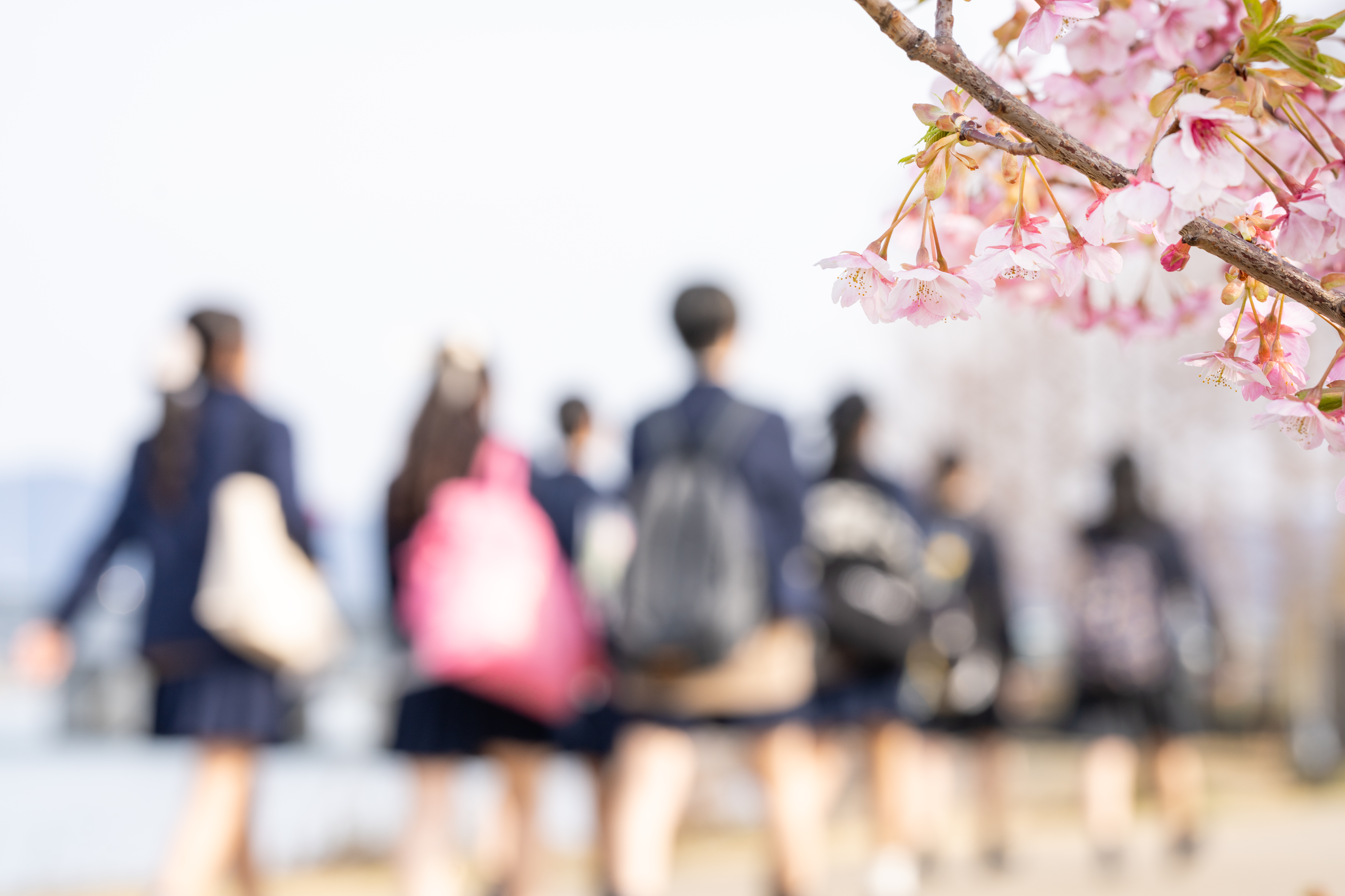 
<span>問題ばかりの「私立高無償化」　専門家の指摘する制度の「欠陥」</span>
