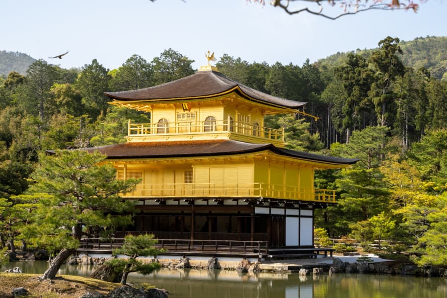 増えすぎた外国人観光客に悩む「神社仏閣」の驚くべき現状　地方にも広がる「リスク」と意外な「商機」とは
