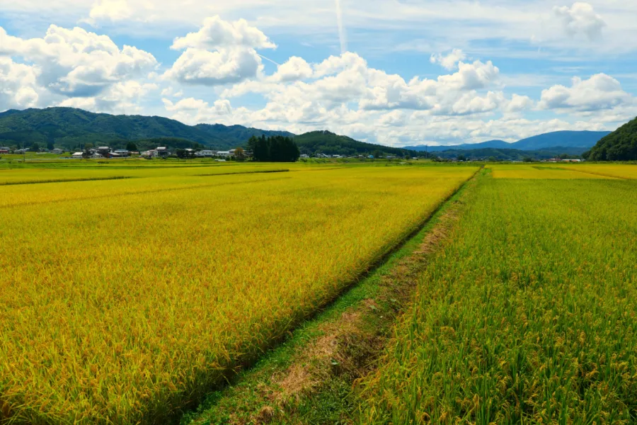 予算は1人600万円！　インバウンド富裕層が殺到する「地方の知られざる名店」