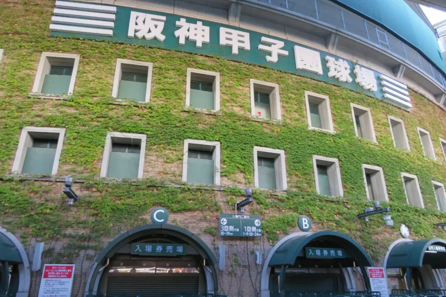 甲子園球児でも増加　野球ドクターが解説する「トミー・ジョン手術」神話と現実