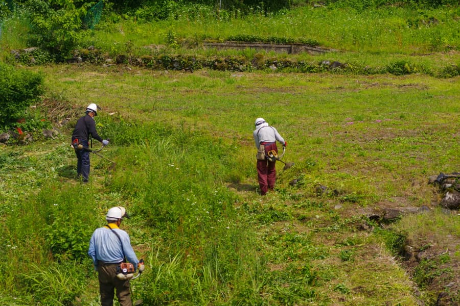 「農家の減少で農業は衰退し、食糧危機が起きる」という嘘