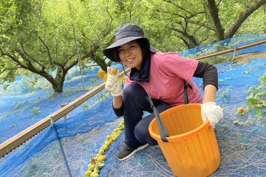 「フリーランス農家」として働いて見えてきた日本の農業の未来