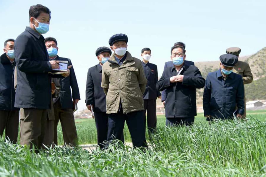 「現地指導」と「現地了解」（2023年4月23日～4月29日）