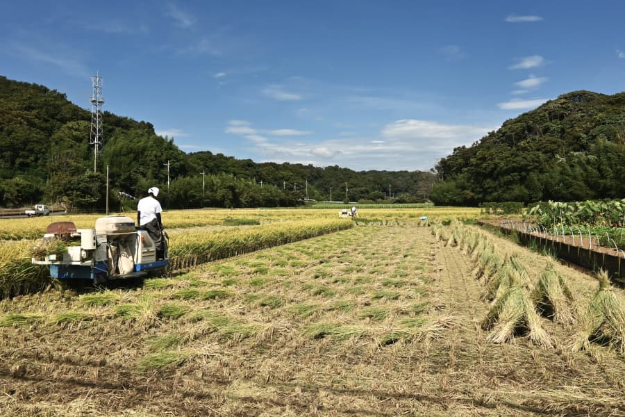 「農家のリスクは農水省」　現役農家が懸念する「おこめ券」悪夢のシナリオ